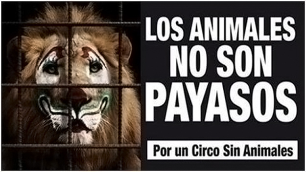 Circo-sin-animales