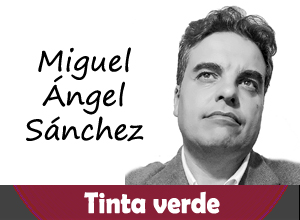 Miguel Angel Sanchez