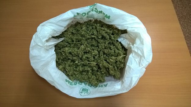 marihuana valparaiso