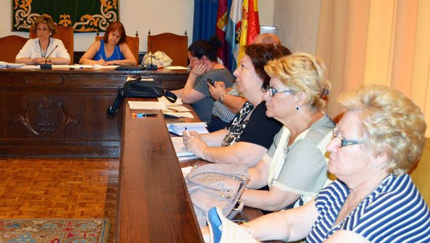 Consejo Local Vecinal de Talavera