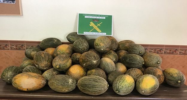 Parte de los melones robados.