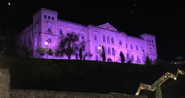 Reivindicativo color violeta en los edificios públicos.