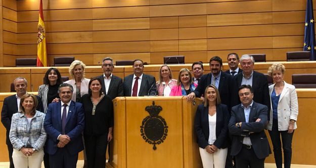 Grupo de Castilla-La Mancha en el Senado.