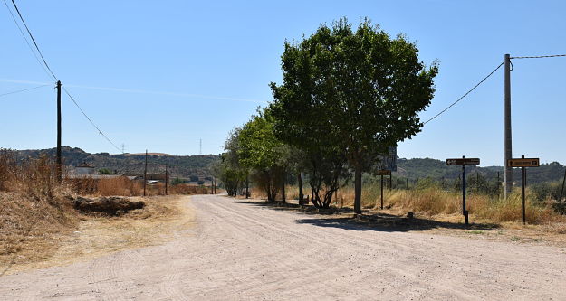 Camino de Los Pinos de Talavera.